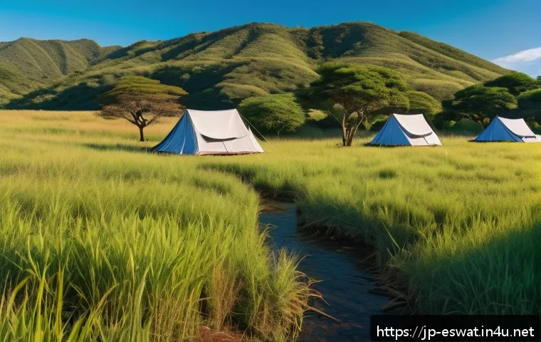 에스와티니에서 캠핑하기 - A serene campsite in Eswatini surrounded by vast green grasslands and lush forests under a clear blu...